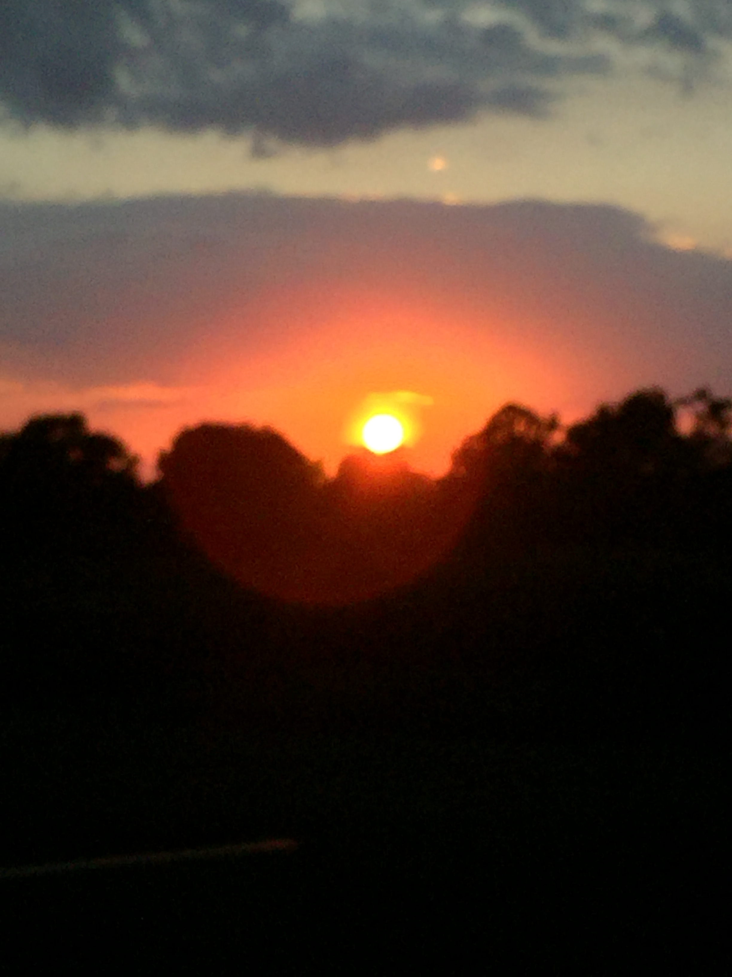 4E5F0084-B356-4B96-9F0F-99A73F851656