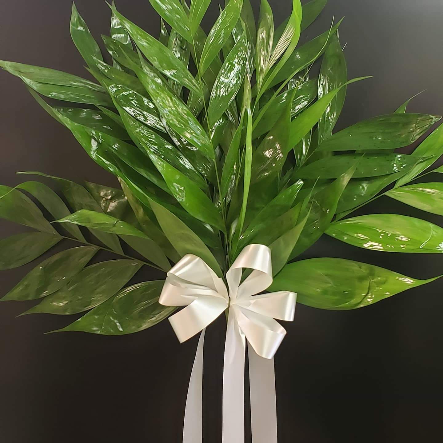 FB_IMG_1586084919449