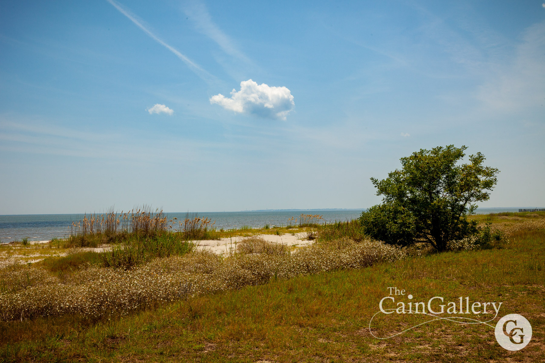 IMG_2535-DafuskieIsland2019