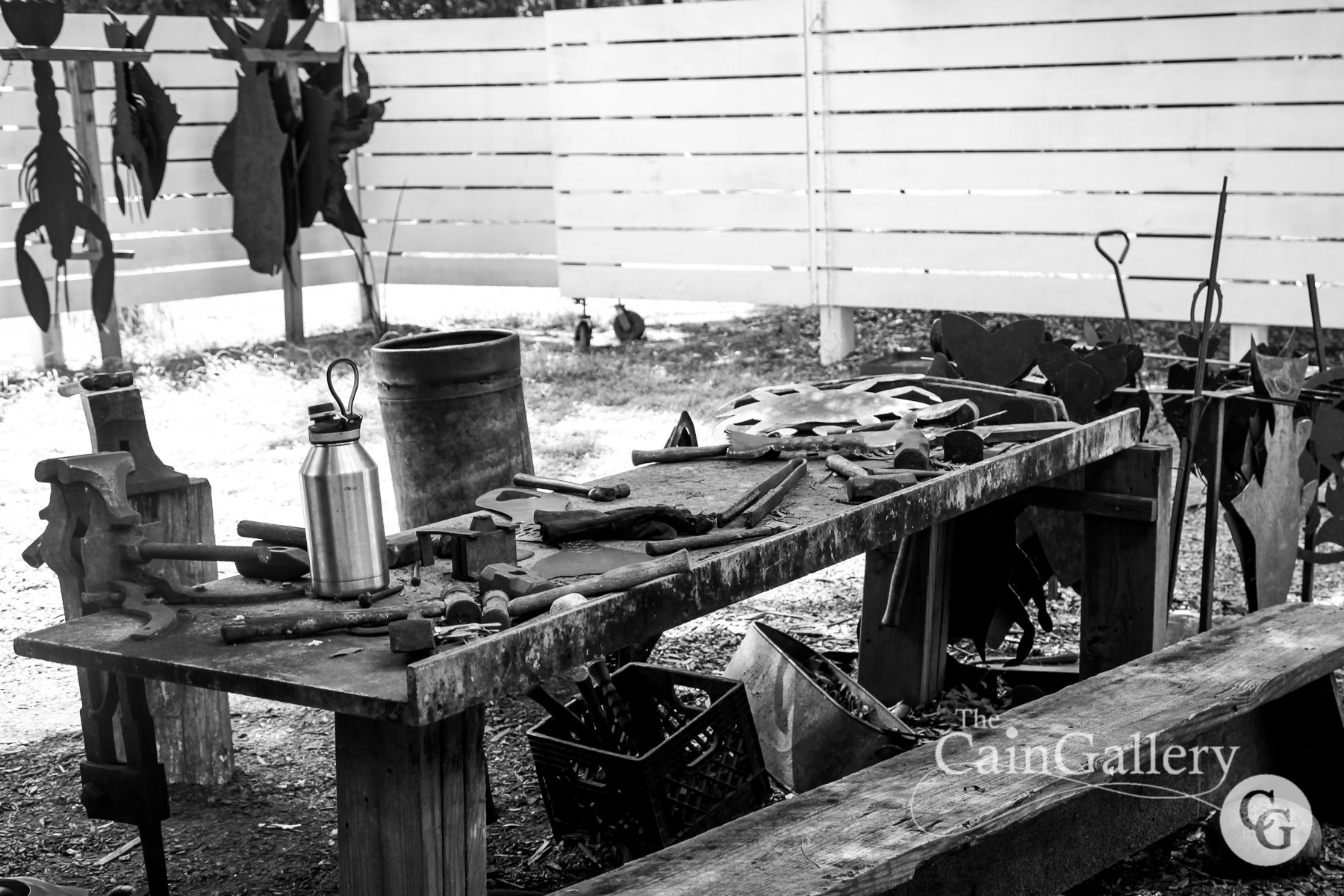 IMG_2568-DafuskieIsland2019