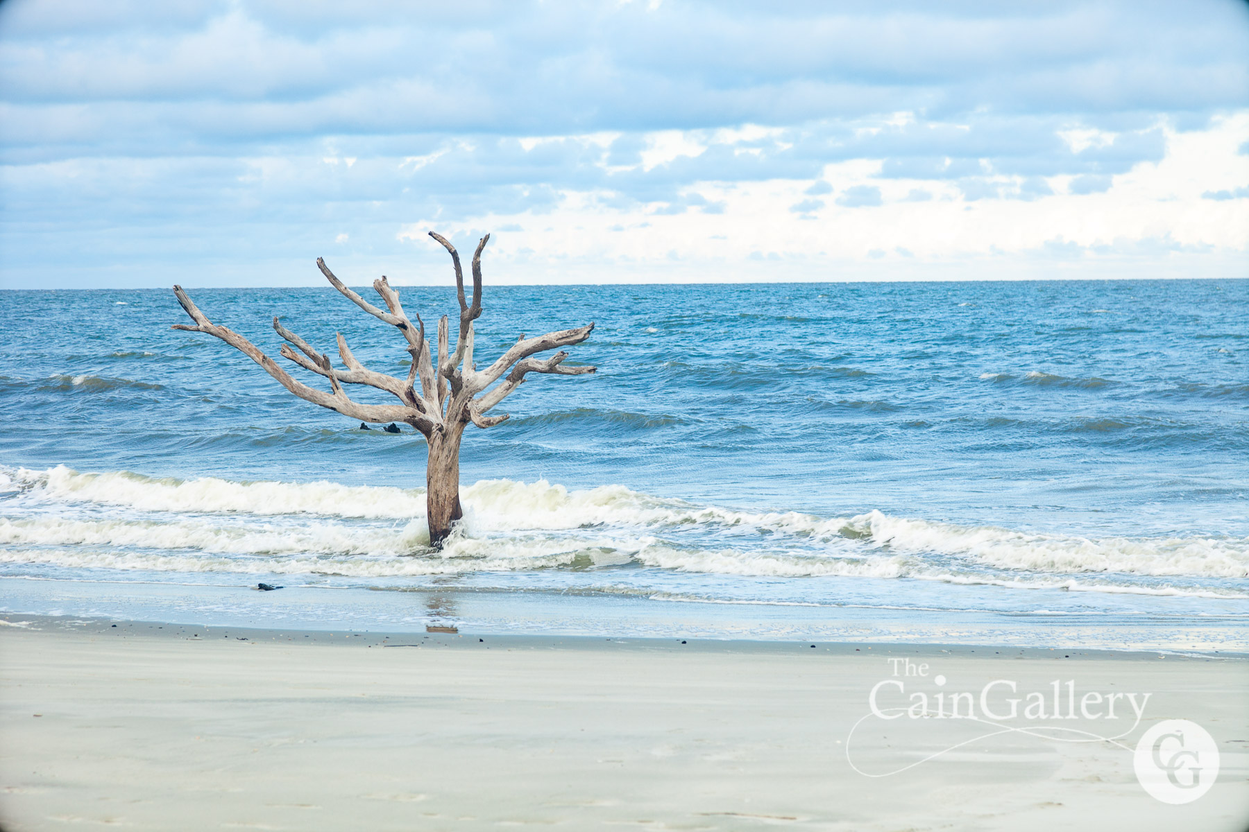 IMG_2756-huntingisland81519