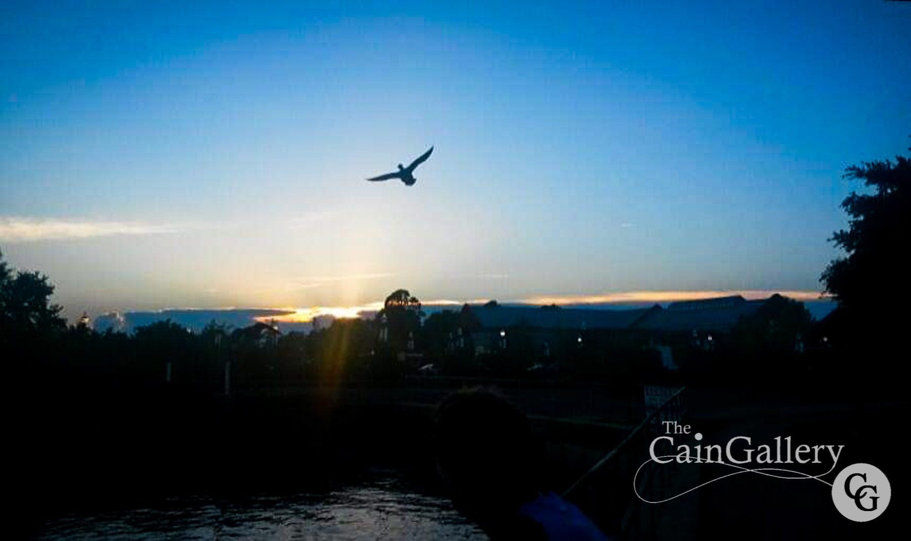 100366287_140282774291434_4577791360593035264_o