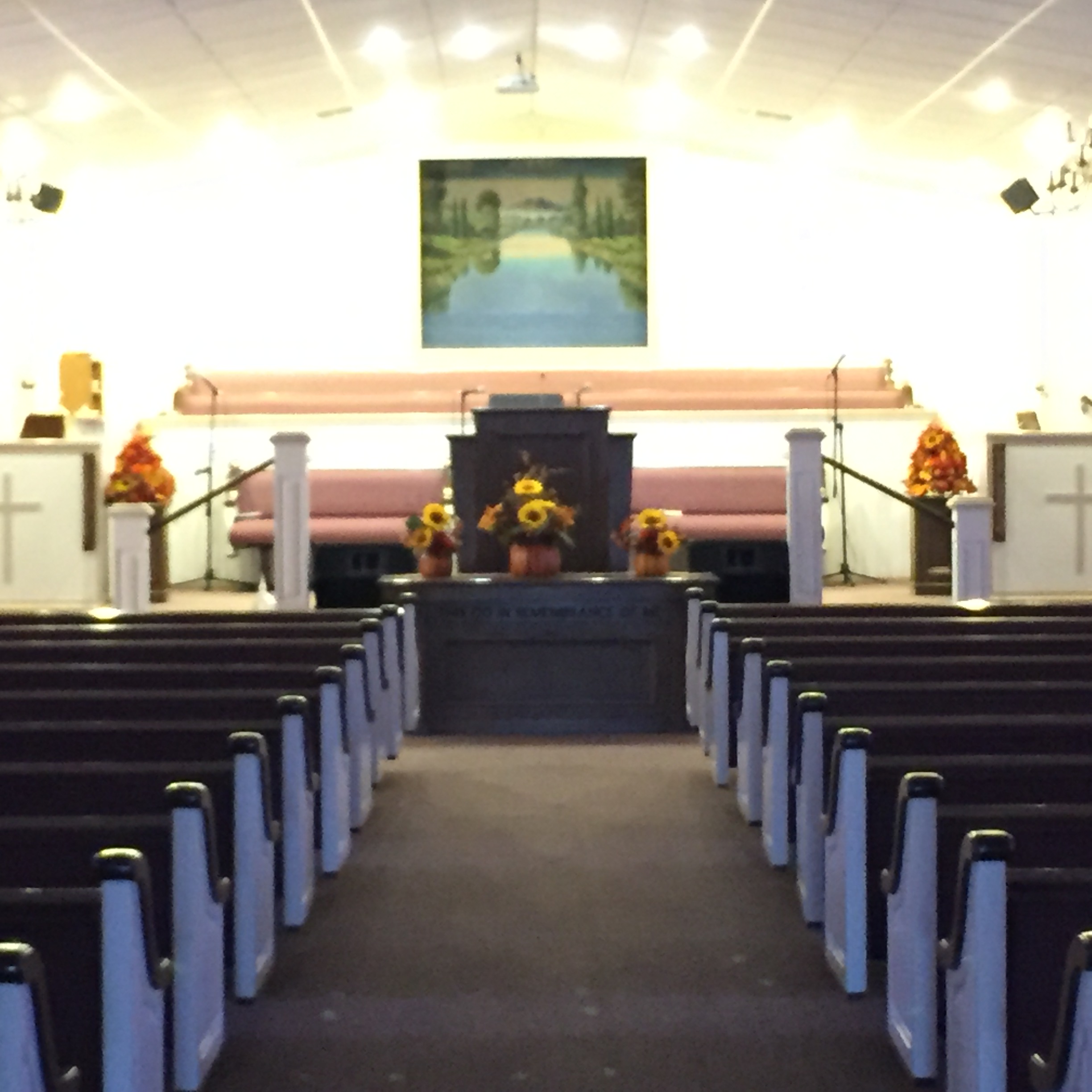 3AEB2391-84AF-4836-AF5E-C499A1882659