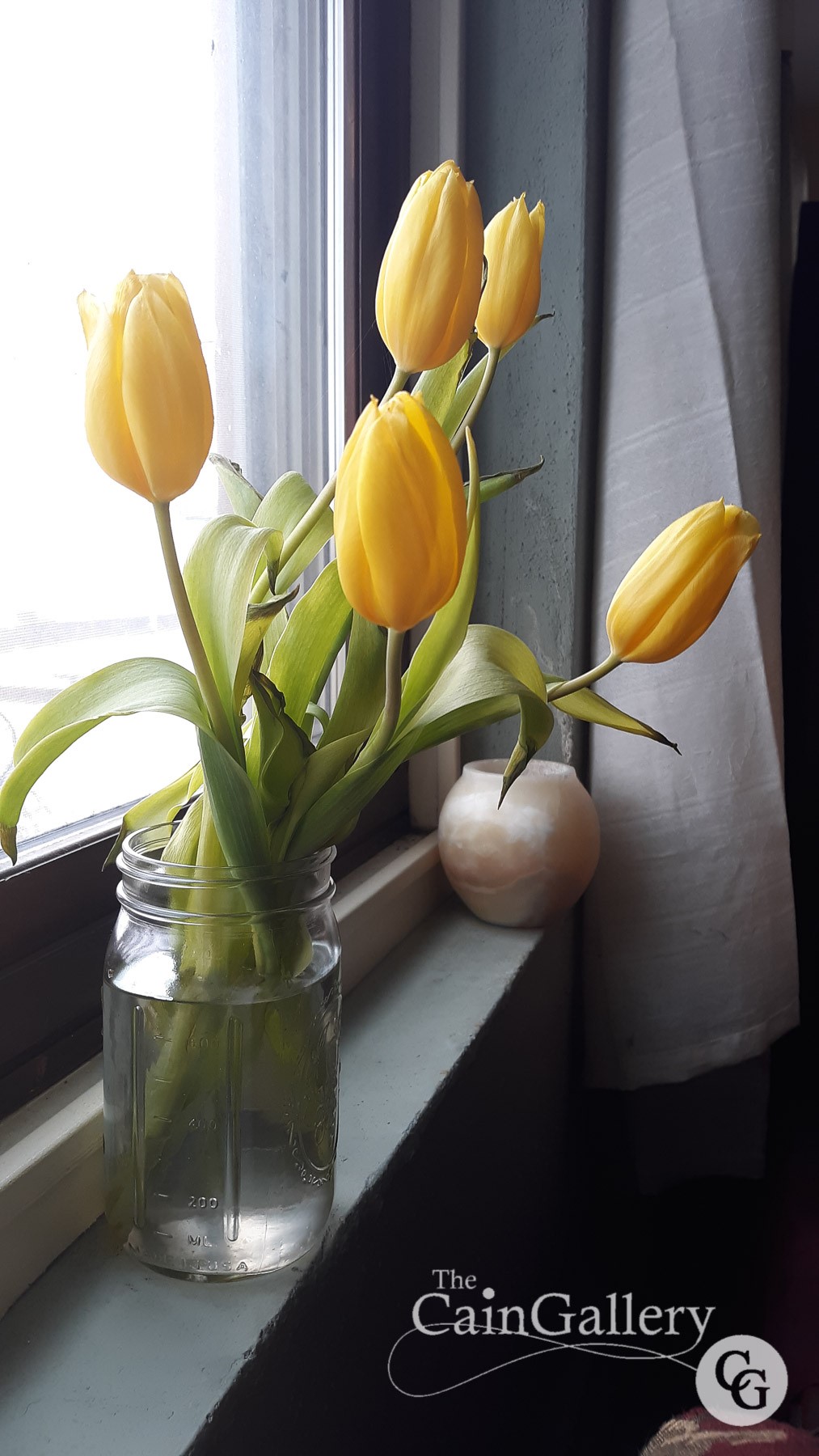 91398349_109828734003505_5979169331634765824_o