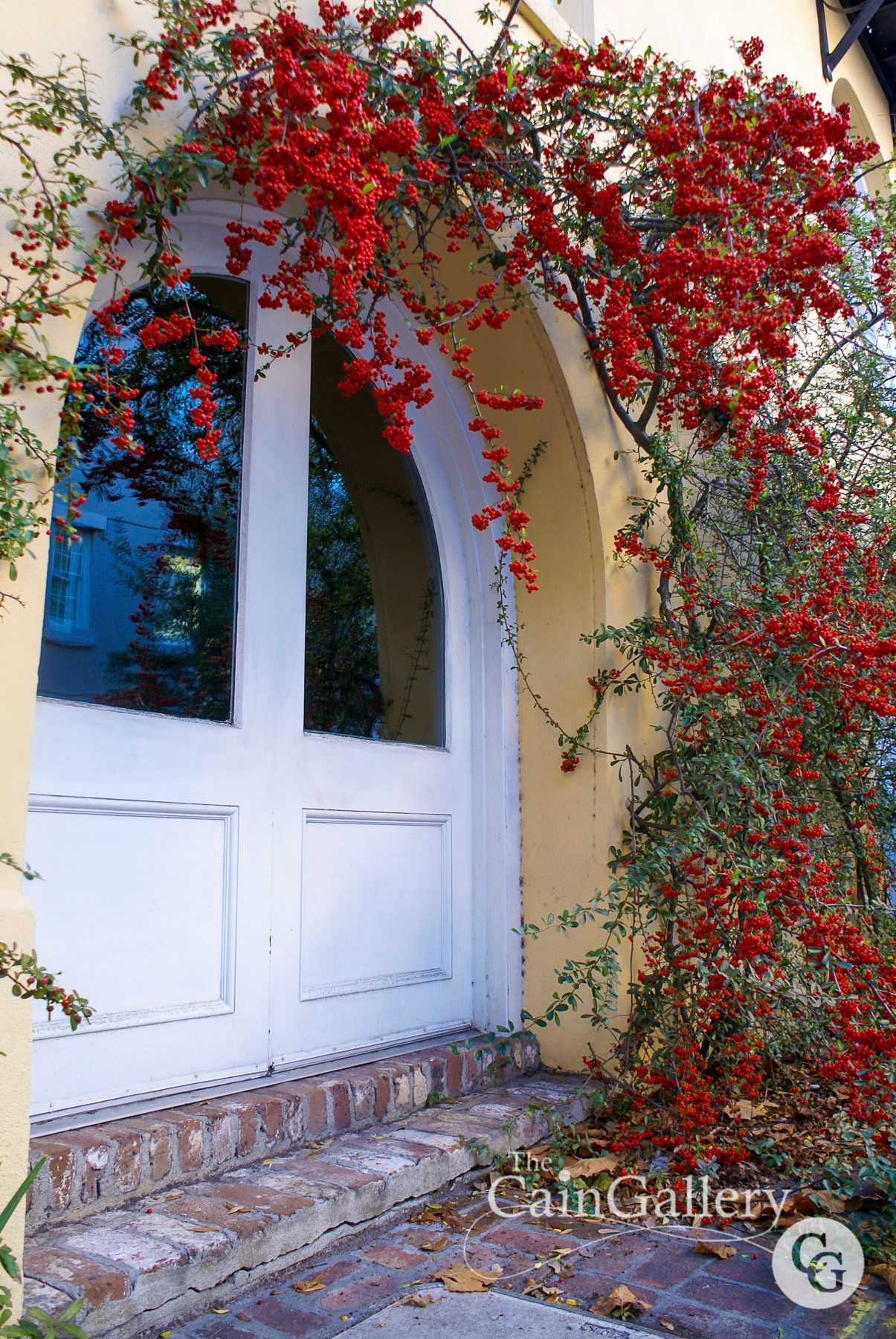 91649673_109840080669037_2997782160657612800_o