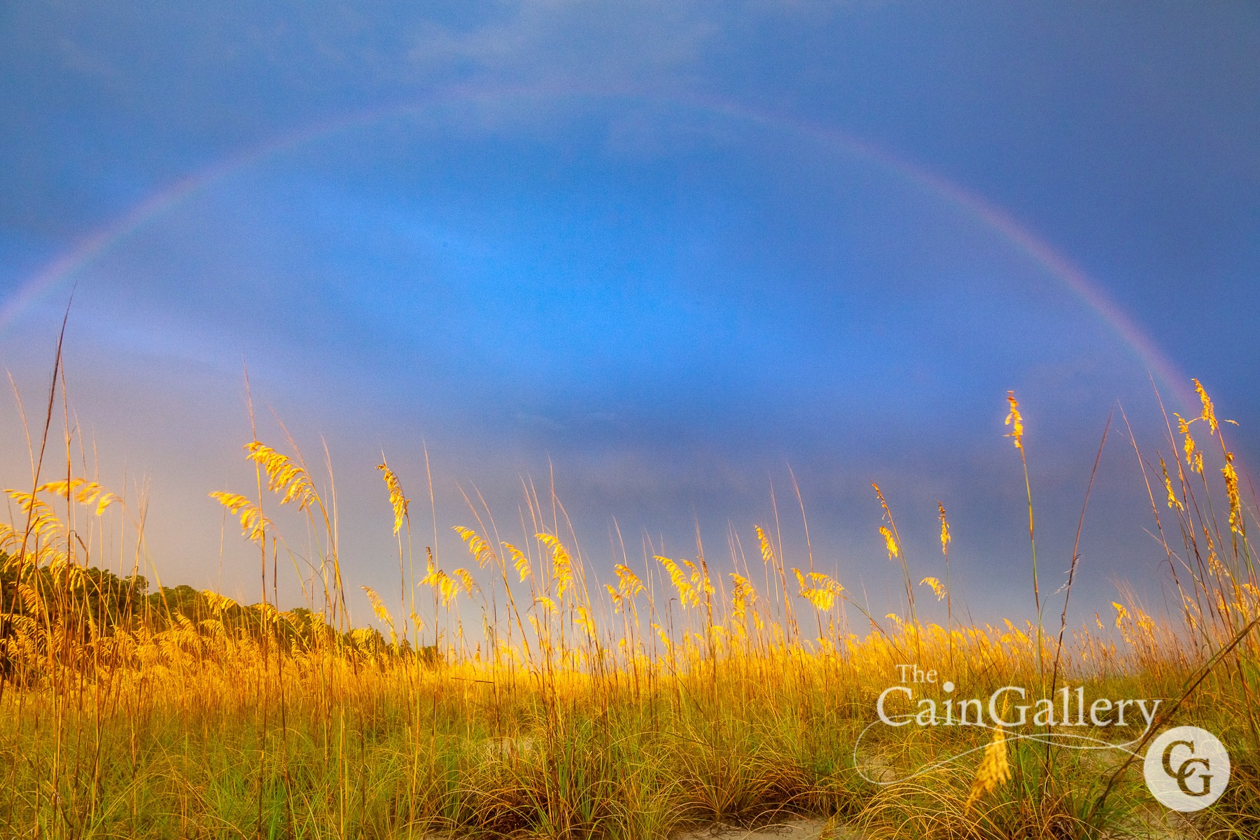 91874752_110538900599155_1234001940170407936_o