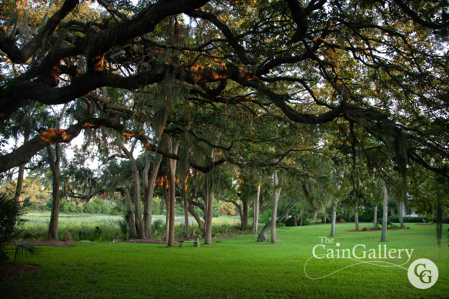 91999411_110681467251565_2595459787923652608_o