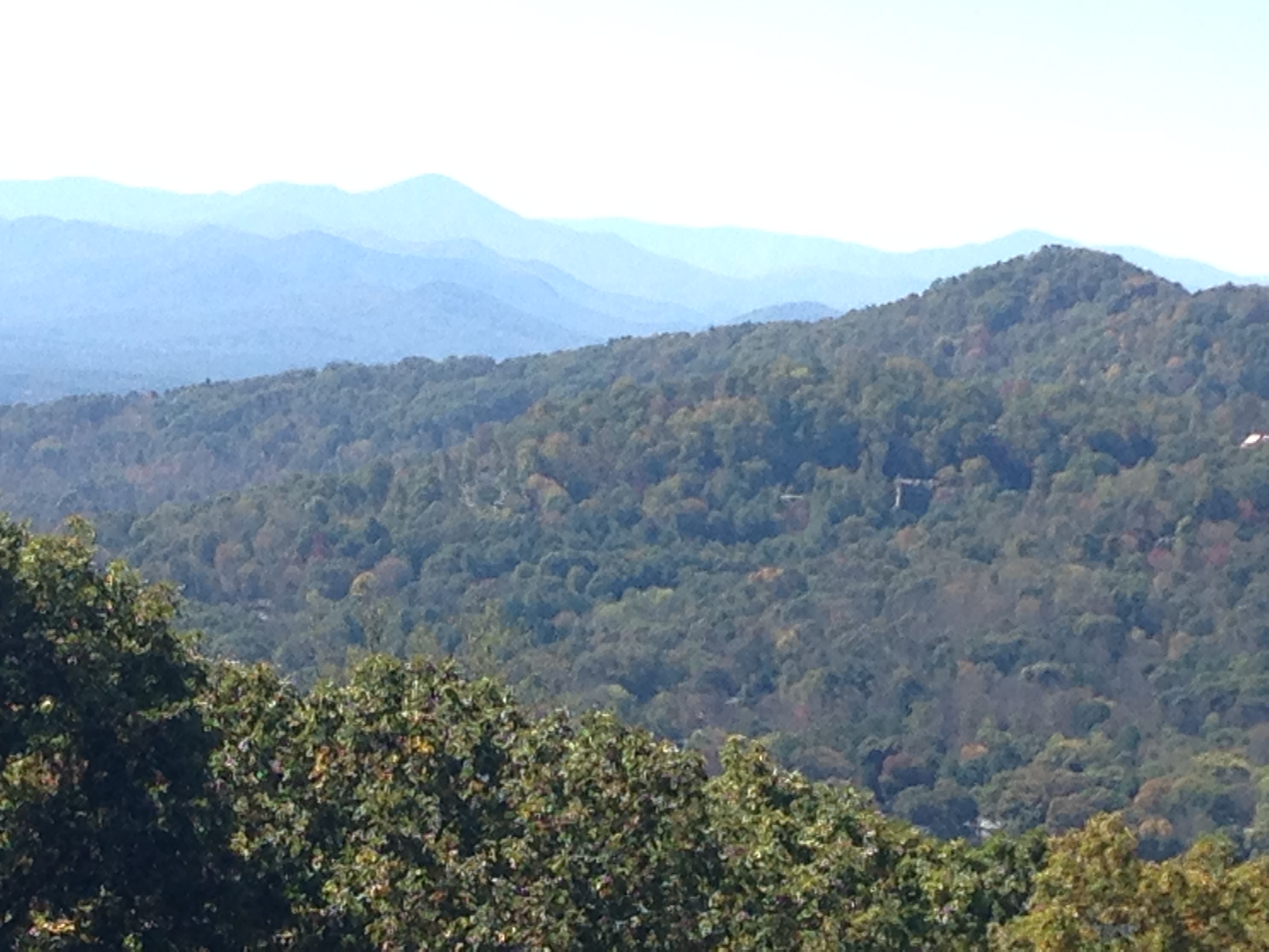 E4401F83-0F81-4122-A405-3E3FABF930EA