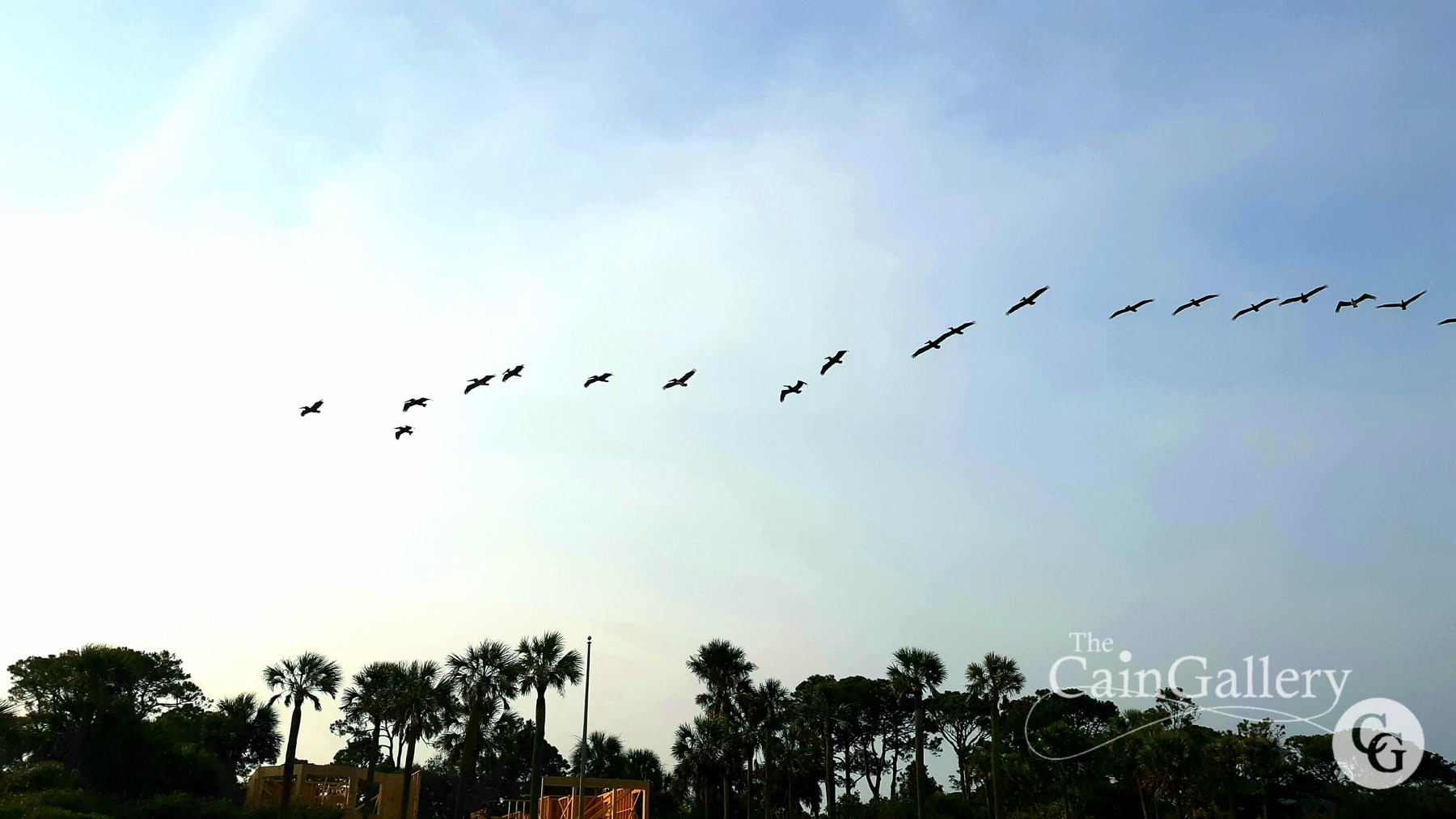 91556565_109830550669990_468799627433345024_o