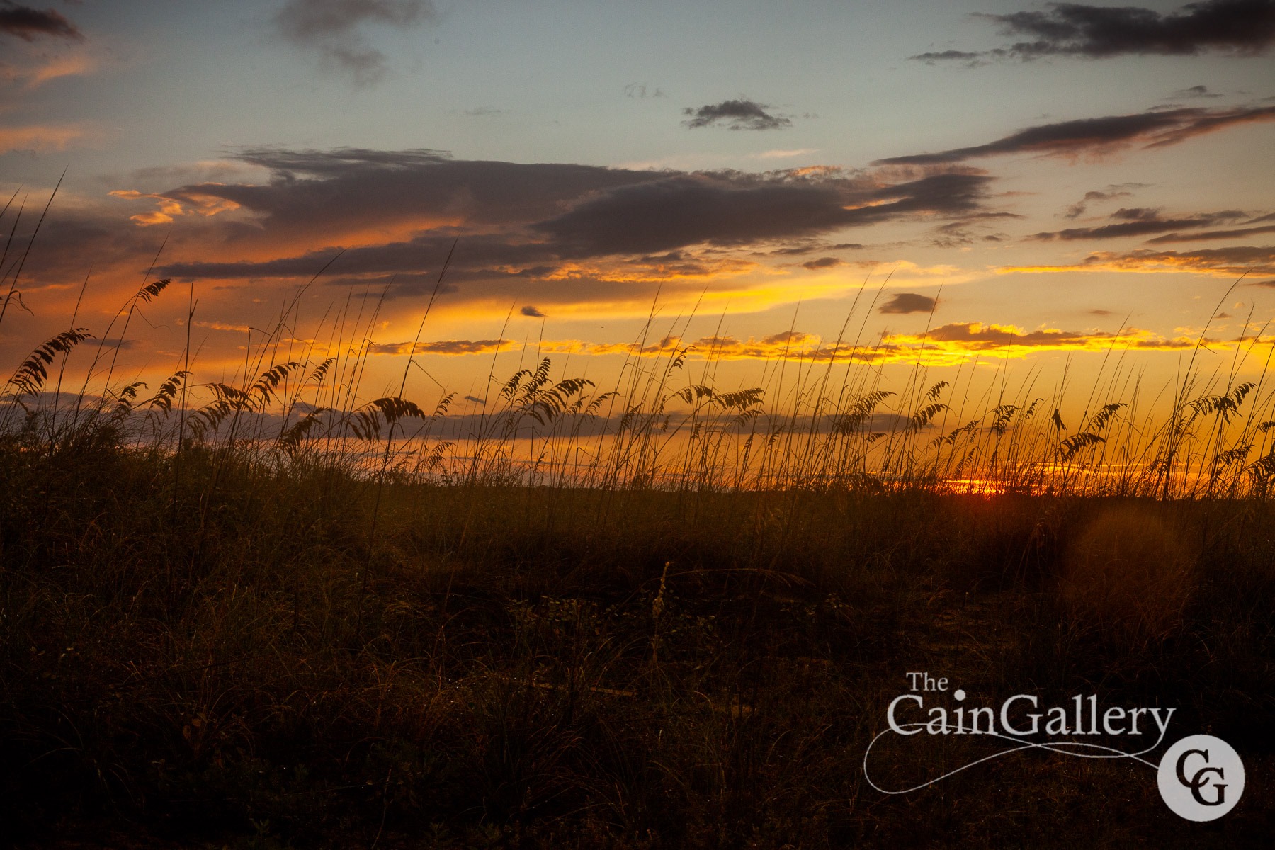 91557970_110539067265805_735267159483088896_o