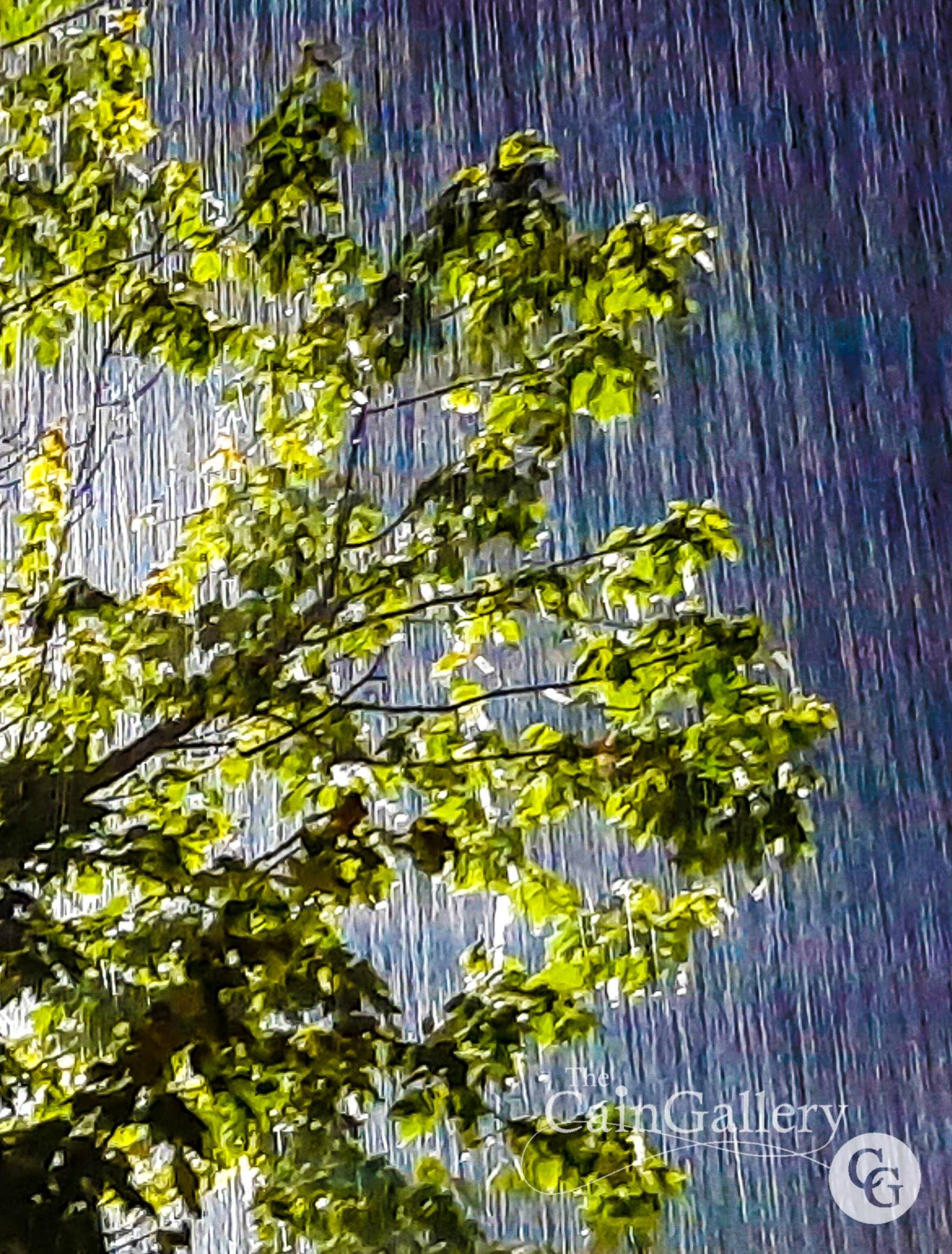 106419818_154257436227301_2759989501070497605_o