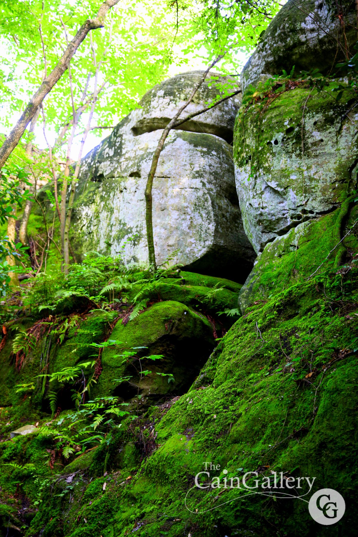 106506406_154257752893936_6726593812115528314_o