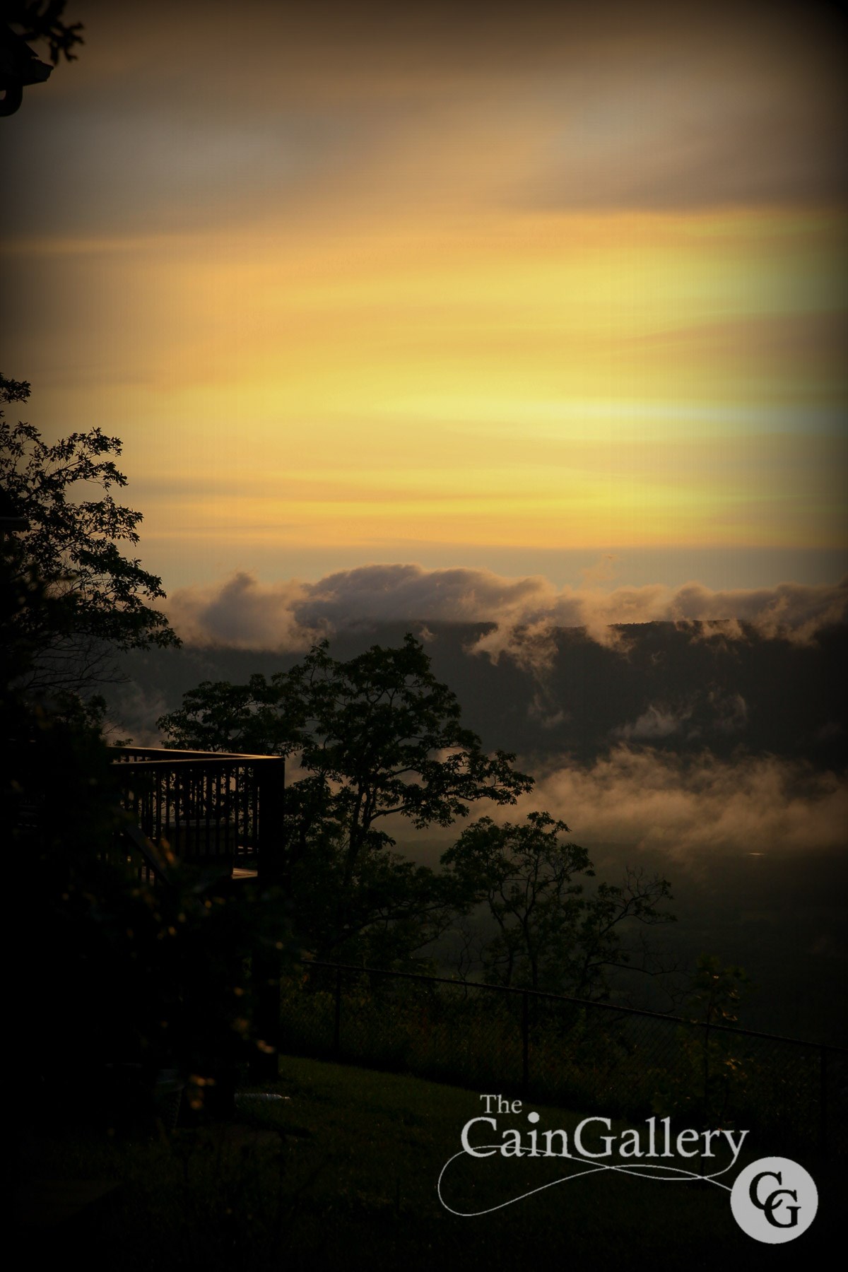 106508222_154256212894090_6774807753036879699_o