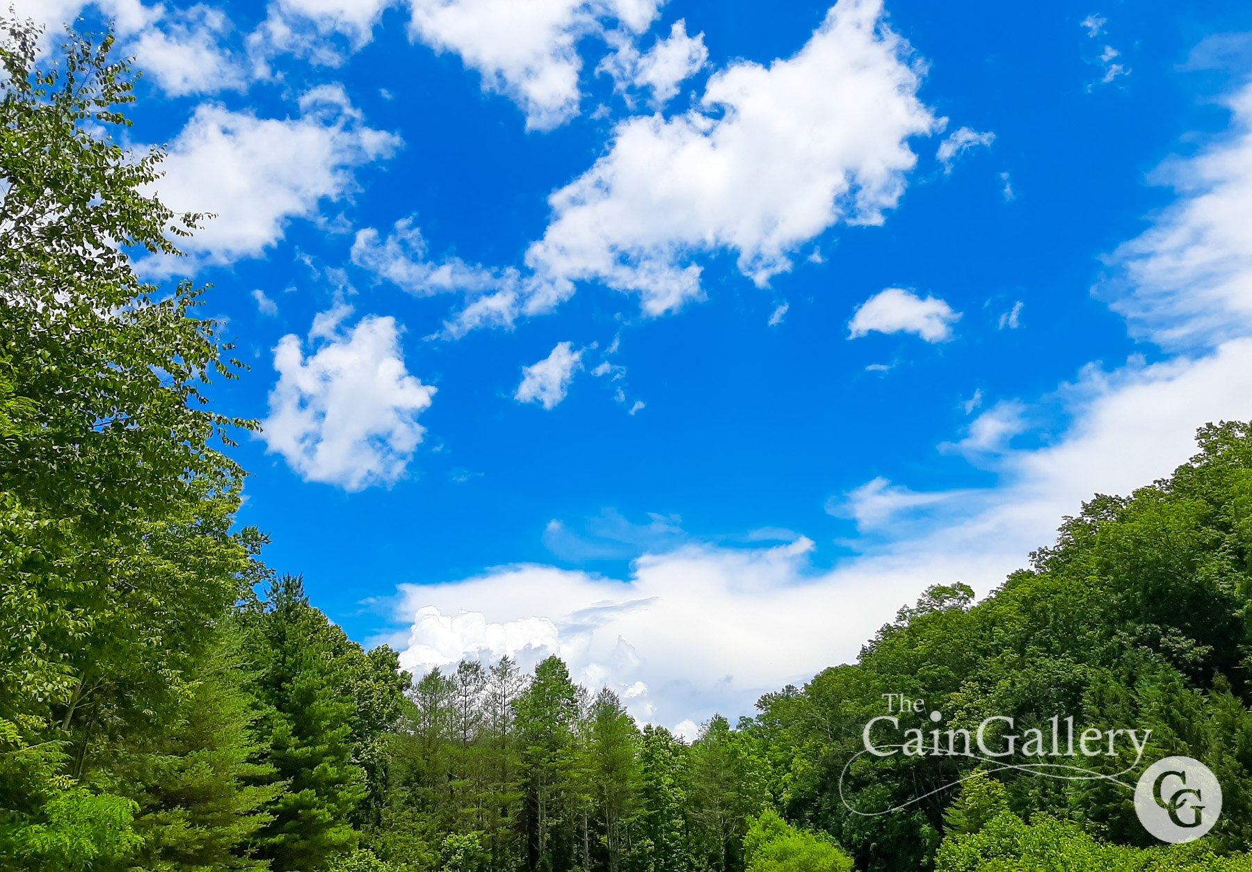 106527666_154257729560605_757435734595630977_o