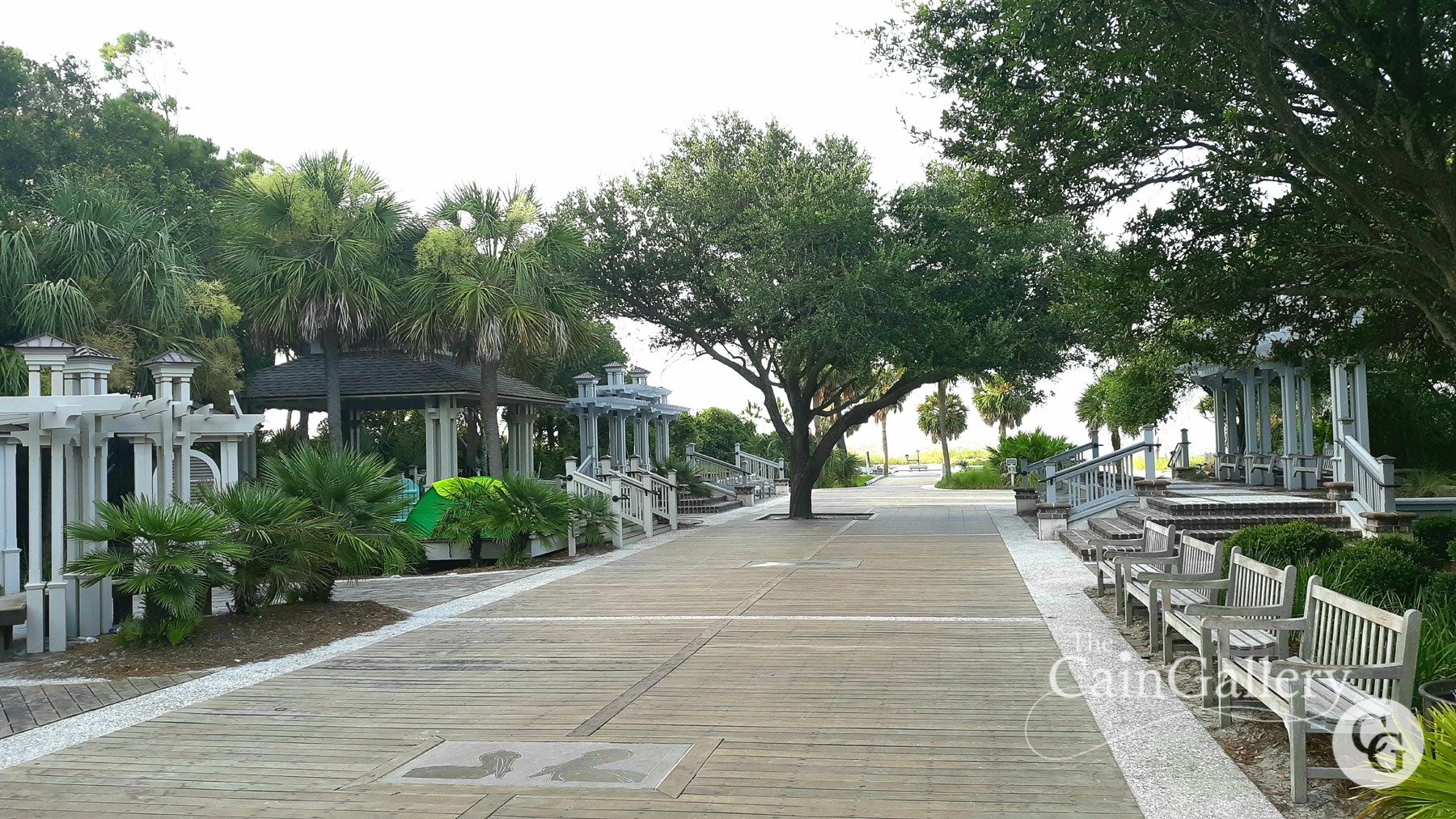 91404540_109832767336435_7105639468400377856_o