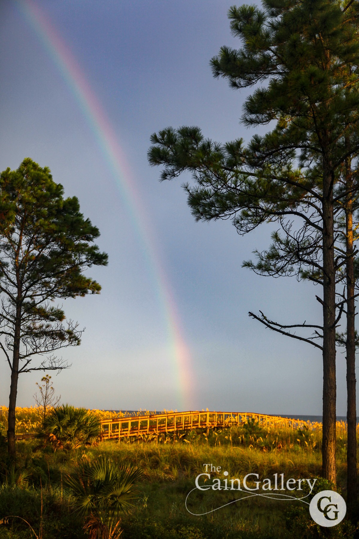 91412472_110538153932563_4510544456344141824_o