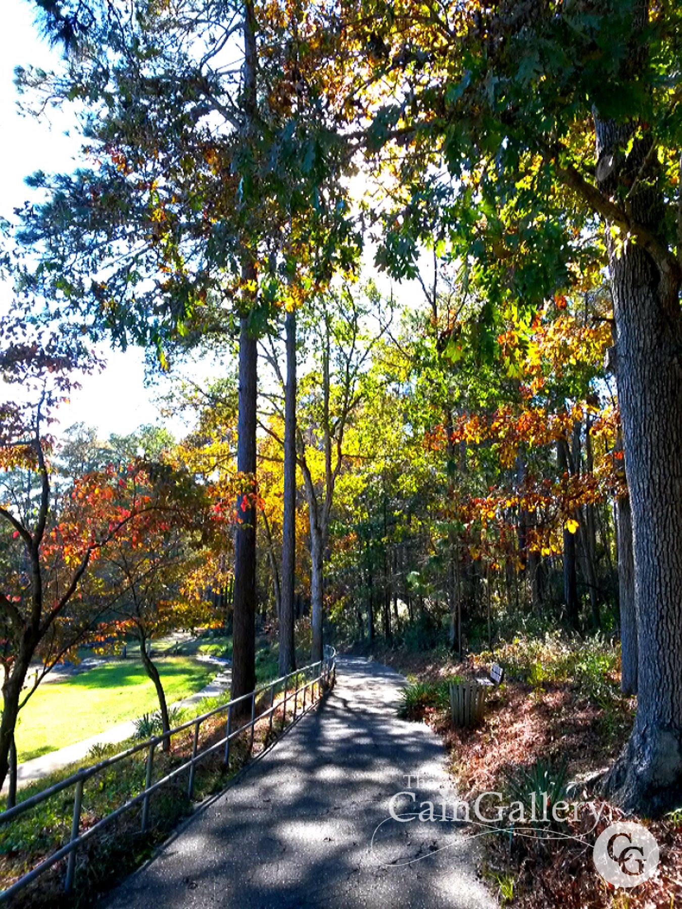 91446448_109822590670786_3712597128258781184_o