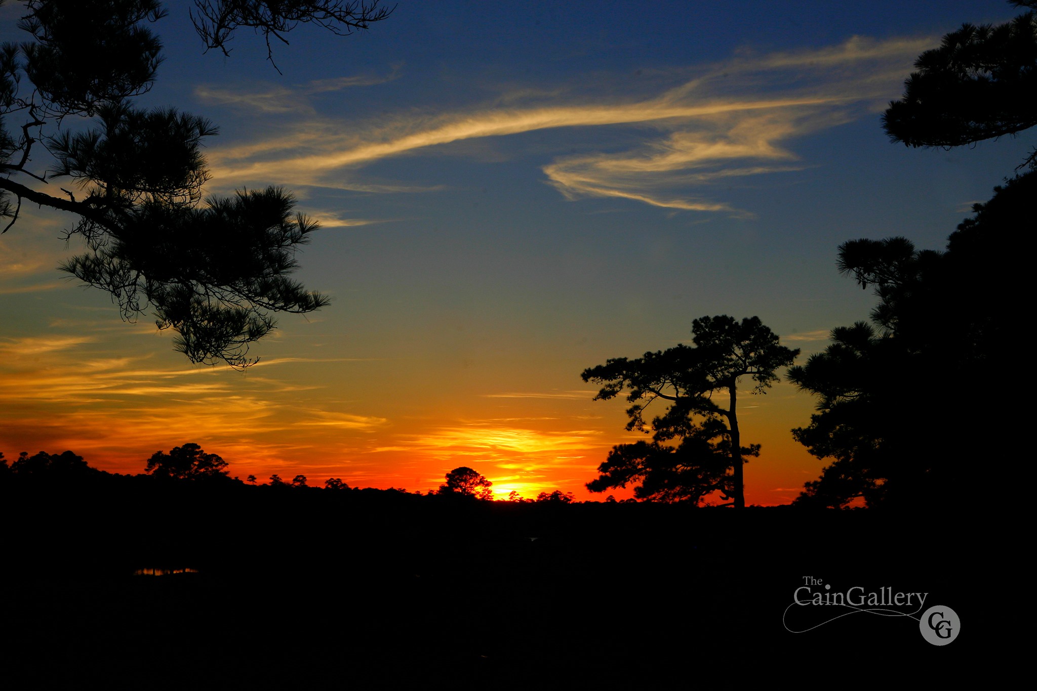 91497804_109768420676203_4994849044565065728_o