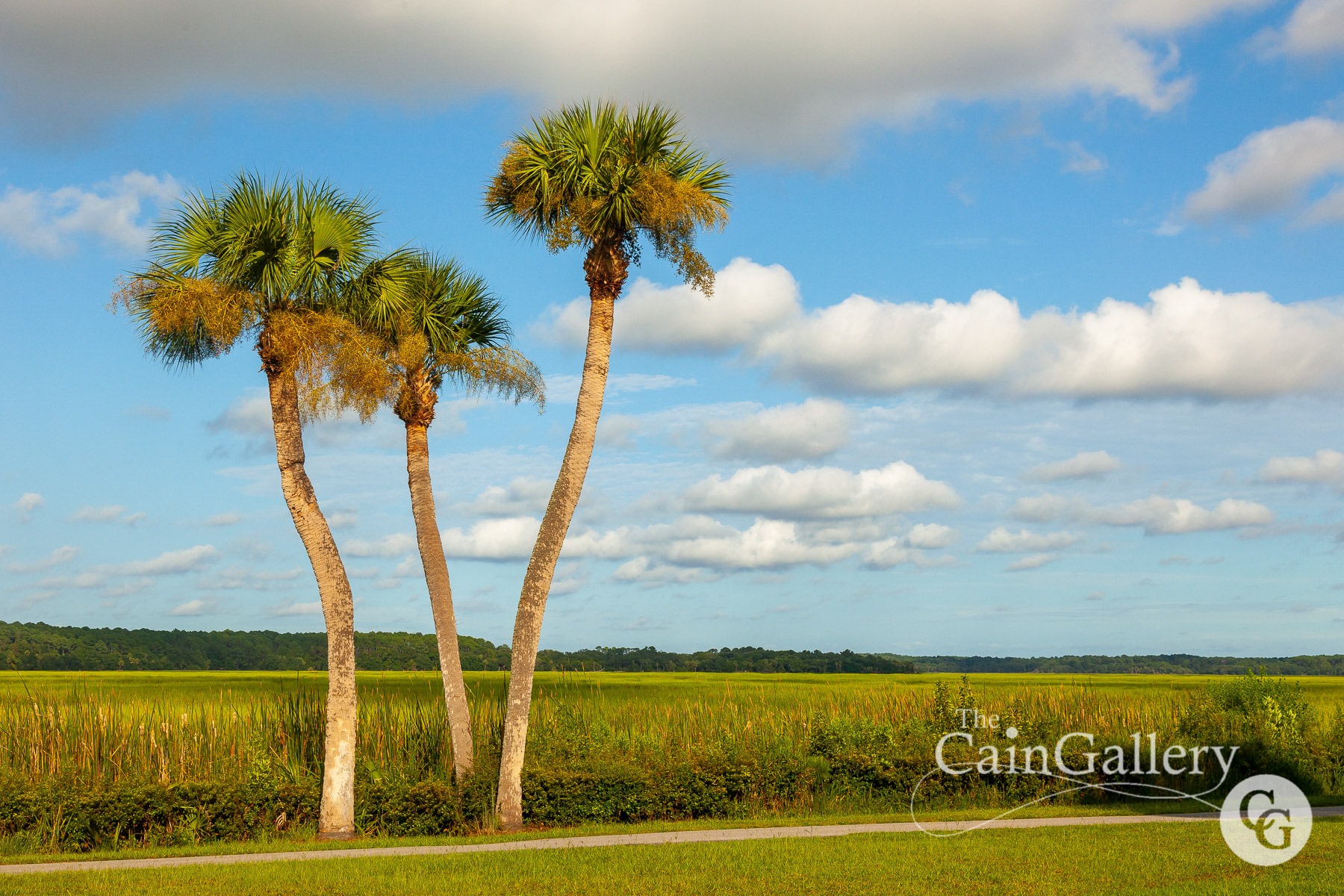 91565743_110554427264269_6764747029353594880_o