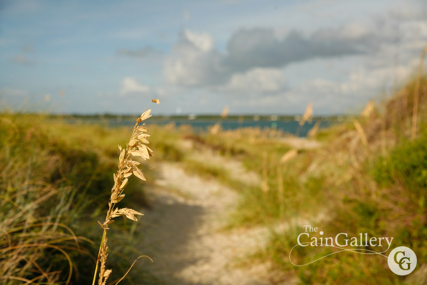 91583758_109760724010306_5783053917944283136_o