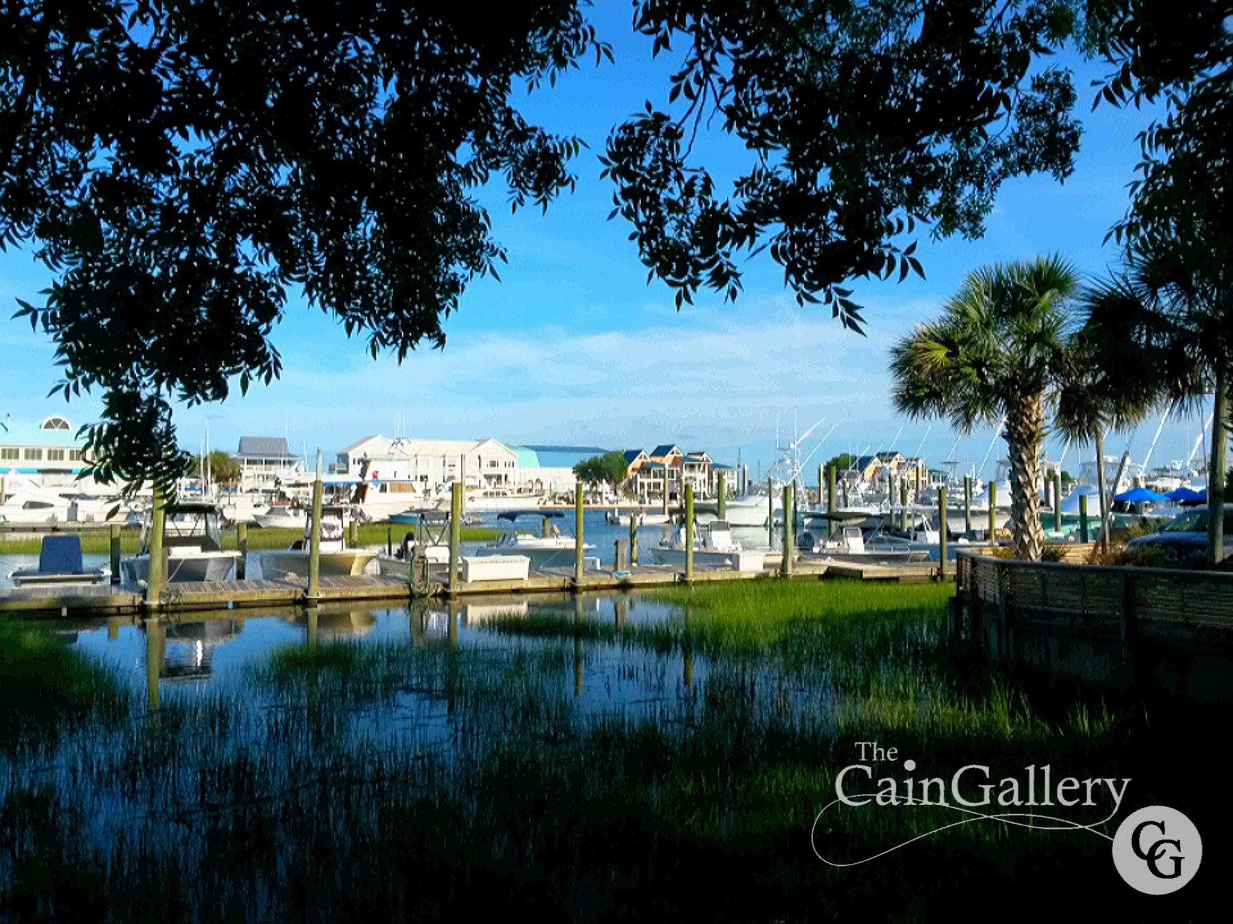 91928073_109821770670868_4789427467536302080_o