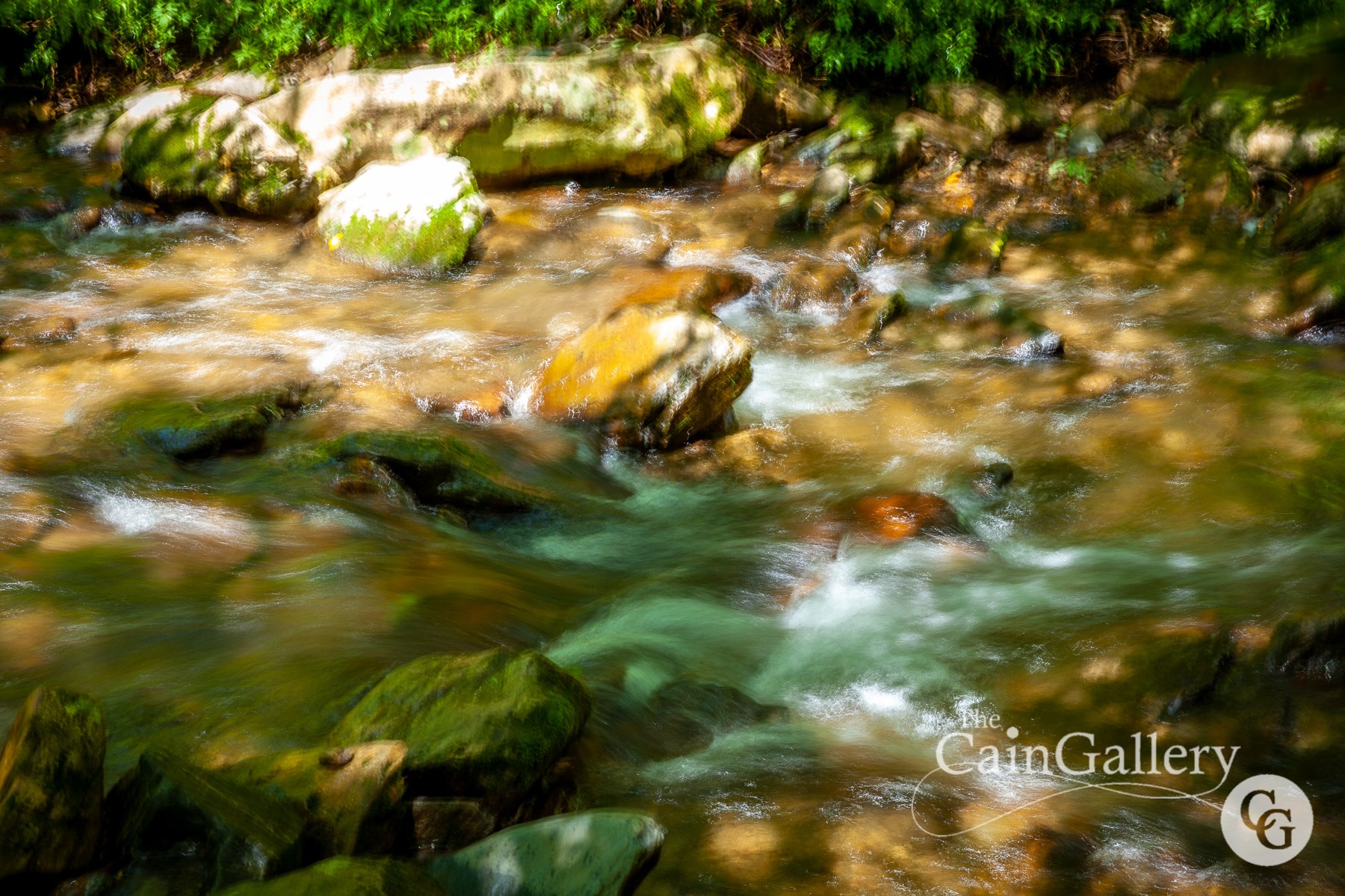 106479899_154256776227367_7393885420700466690_o