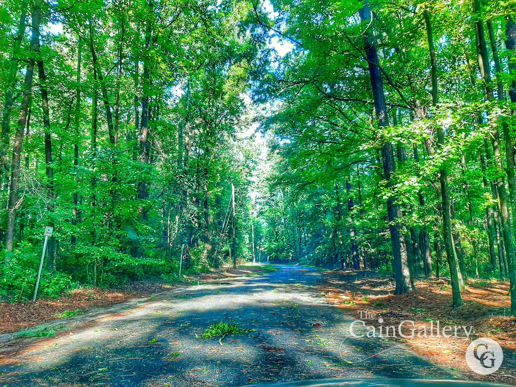 117716925_168803991439312_7690918722476414460_o