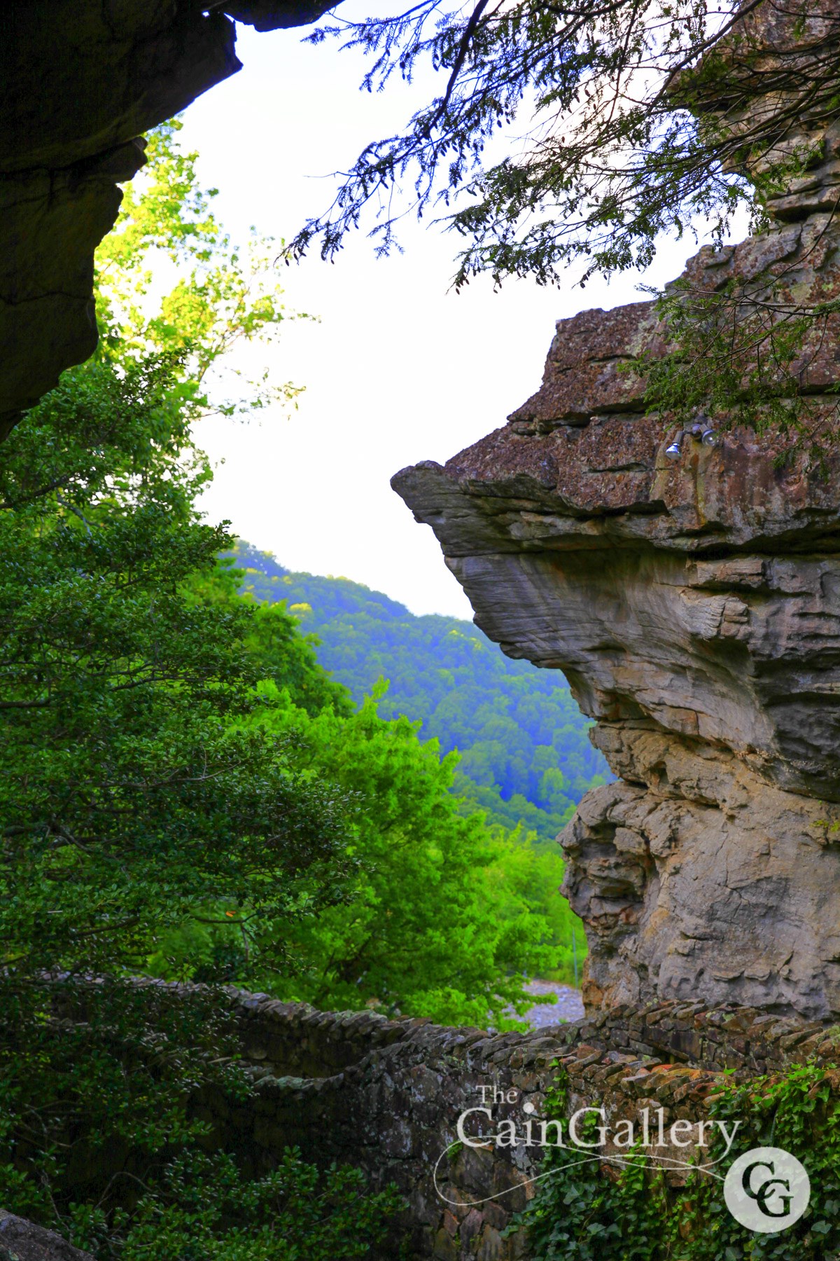 75285841_154257846227260_4528136394141370560_o