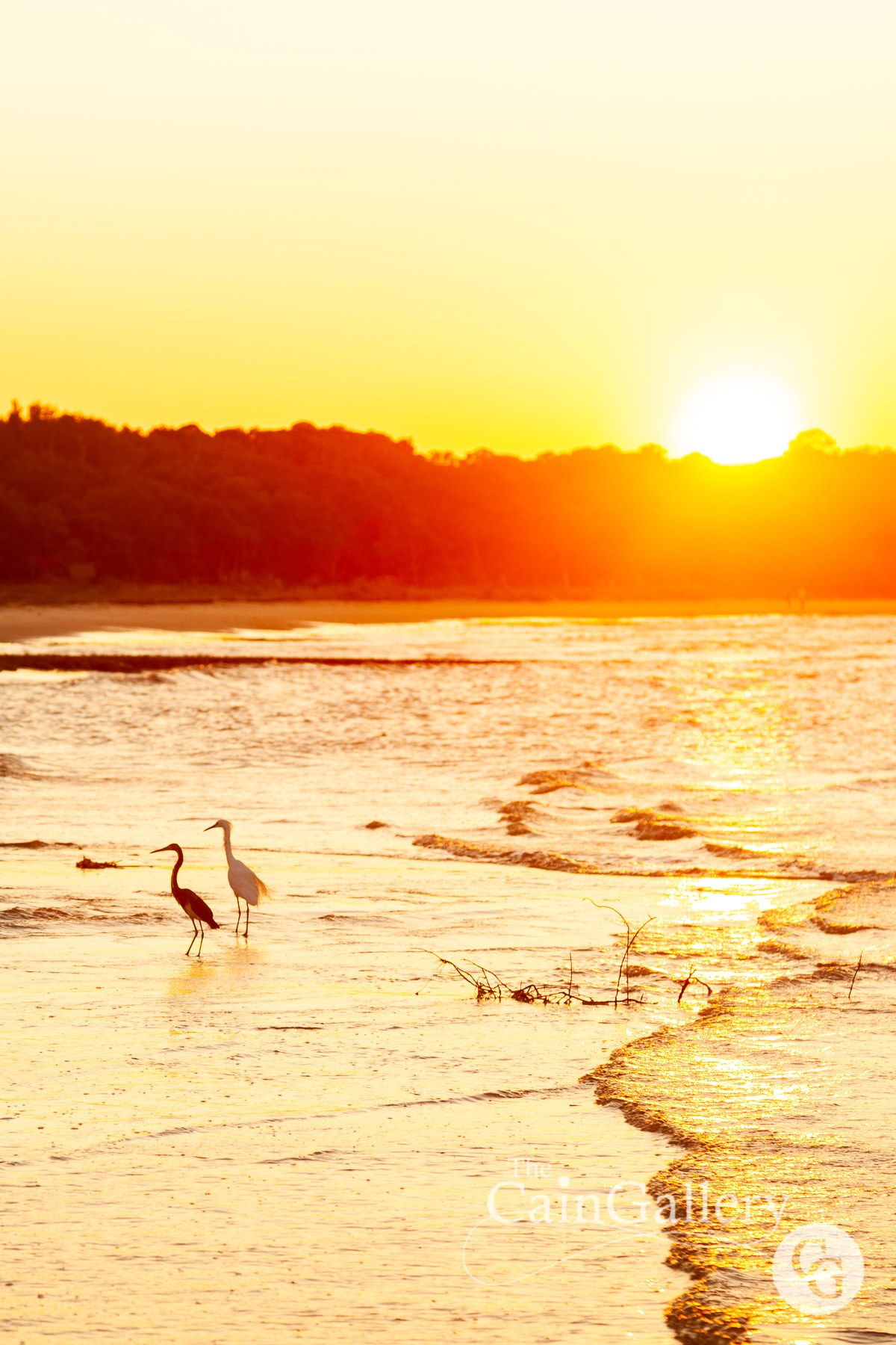 91423401_110533490599696_1091500044890144768_o