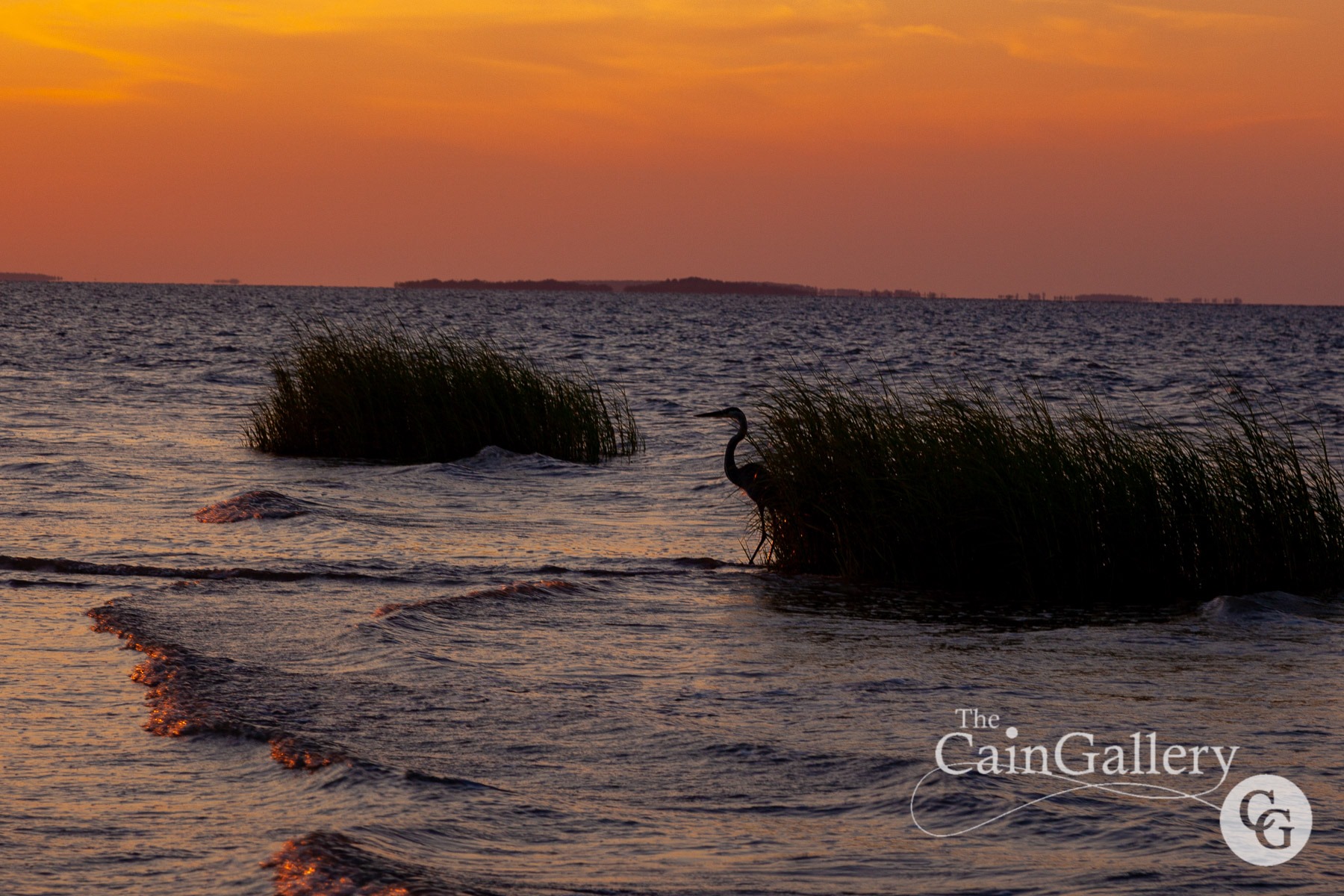 91474147_110532167266495_2102243408851501056_o