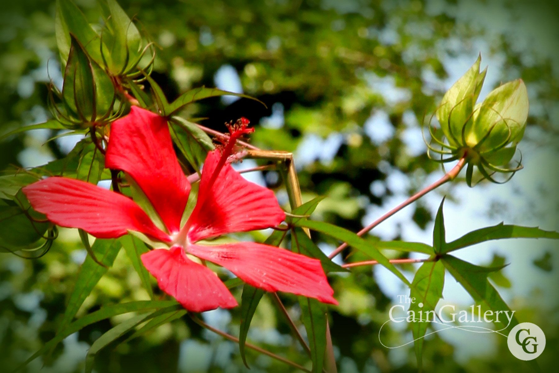 91487889_110681220584923_6221021555707609088_o