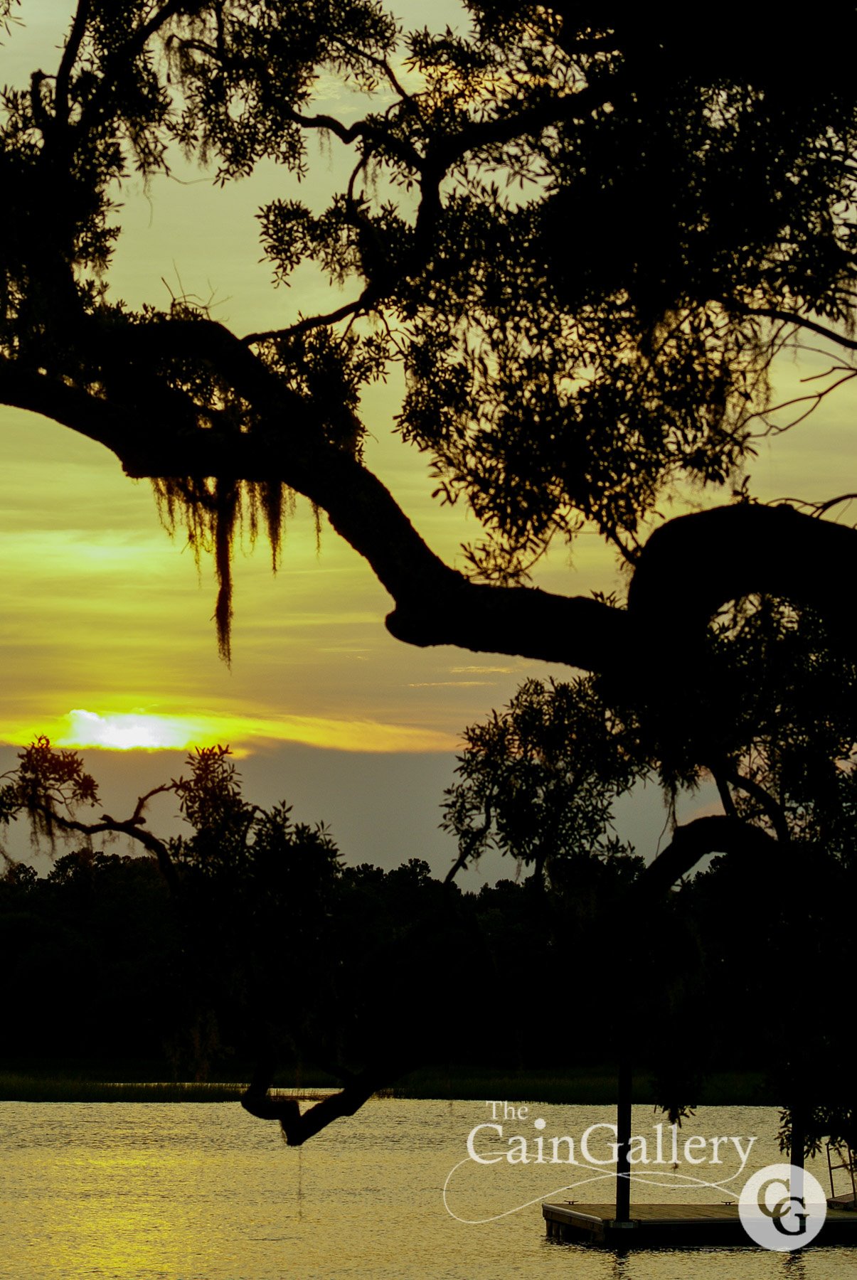 91704646_109841767335535_1650483175106805760_o